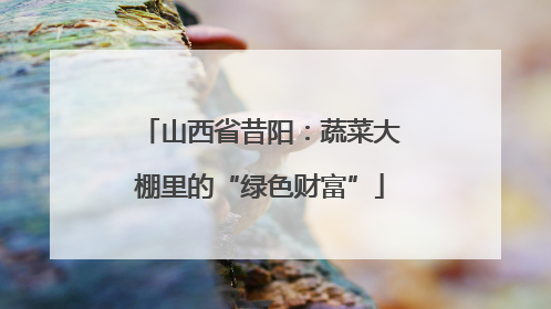山西省昔阳：蔬菜大棚里的“绿色财富”