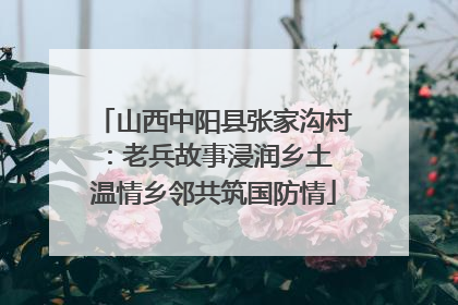 山西中阳县张家沟村：老兵故事浸润乡土 温情乡邻共筑国防情