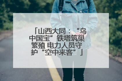 山西大同：“鸟中国宝”铁塔筑巢繁殖 电力人员守护“空中来客”