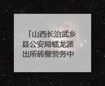 山西长治武乡县公安局蟠龙派出所砖壁警务中心：深耕“红色警务” 谱写“平安答卷”