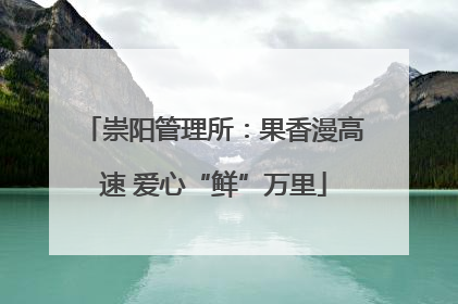 崇阳管理所：果香漫高速 爱心“鲜”万里