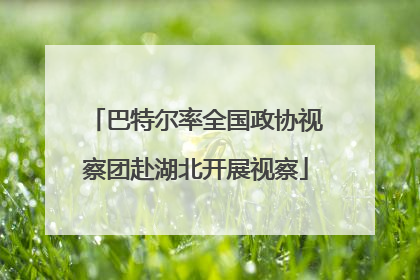 巴特尔率全国政协视察团赴湖北开展视察