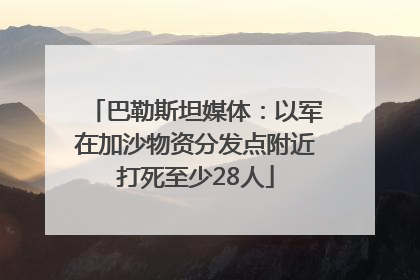巴勒斯坦媒体：以军在加沙物资分发点附近打死至少28人