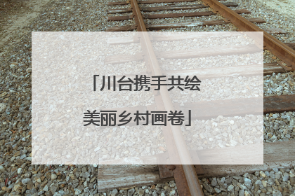 川台携手共绘美丽乡村画卷