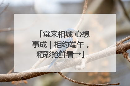 常来相城 心想事成｜相约端午，精彩抢鲜看→