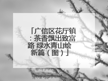 广信区花厅镇：茶香飘出致富路 绿水青山绘新篇（图）