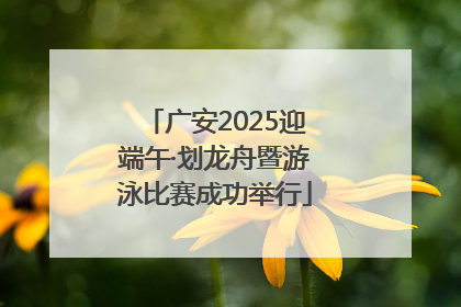 广安2025迎端午·划龙舟暨游泳比赛成功举行