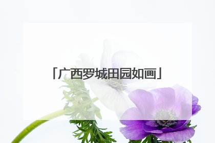 广西罗城田园如画