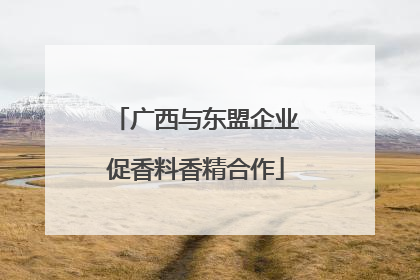 广西与东盟企业促香料香精合作