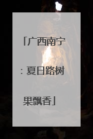 广西南宁：夏日路树果飘香