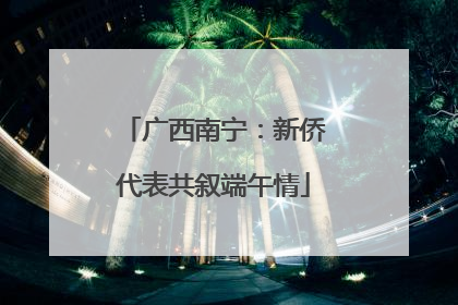 广西南宁：新侨代表共叙端午情