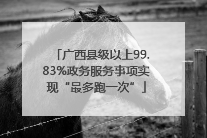 广西县级以上99.83%政务服务事项实现“最多跑一次”