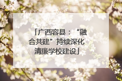 广西容县：“融合共建”持续深化清廉学校建设