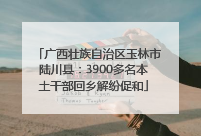 广西壮族自治区玉林市陆川县：3900多名本土干部回乡解纷促和