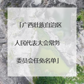 广西壮族自治区人民代表大会常务委员会任免名单