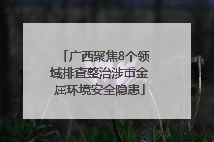 广西聚焦8个领域排查整治涉重金属环境安全隐患