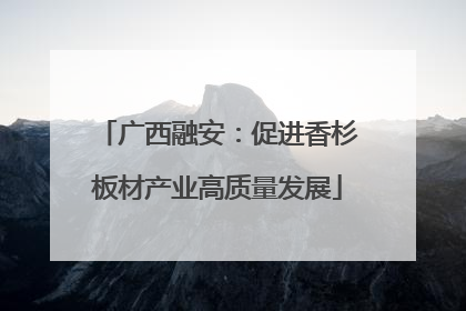 广西融安：促进香杉板材产业高质量发展