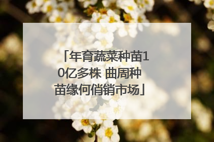 年育蔬菜种苗10亿多株 曲周种苗缘何俏销市场