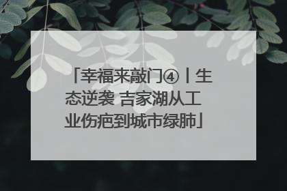 幸福来敲门④丨生态逆袭 吉家湖从工业伤疤到城市绿肺