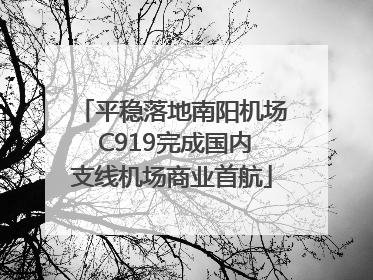 平稳落地南阳机场 C919完成国内支线机场商业首航