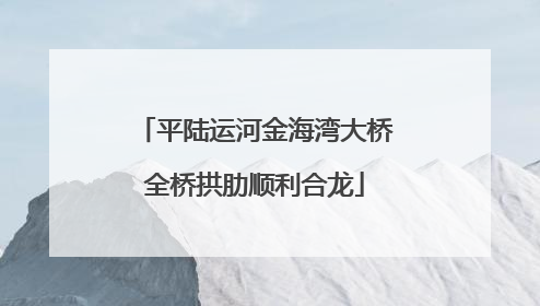 平陆运河金海湾大桥全桥拱肋顺利合龙