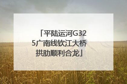 平陆运河G325广南线钦江大桥拱肋顺利合龙
