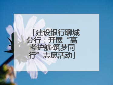 建设银行聊城分行：开展“高考护航·筑梦同行”志愿活动