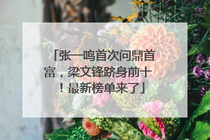 张一鸣首次问鼎首富，梁文锋跻身前十！最新榜单来了