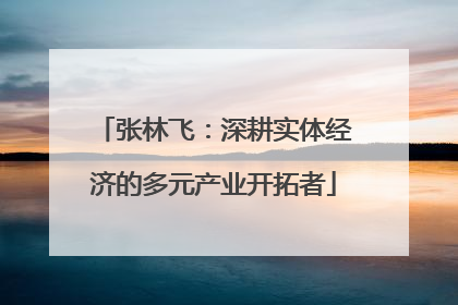 张林飞：深耕实体经济的多元产业开拓者