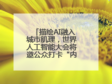描绘AI融入城市肌理，世界人工智能大会将邀公众打卡“内环中环外环”