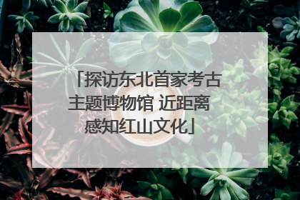 探访东北首家考古主题博物馆 近距离感知红山文化