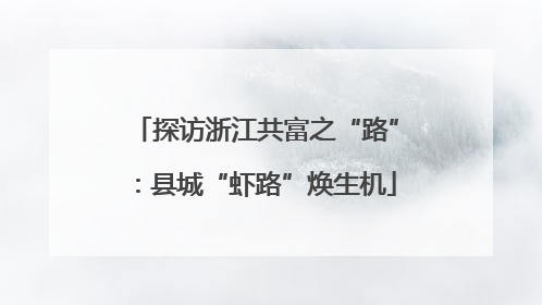 探访浙江共富之“路”：县城“虾路”焕生机