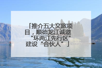 推介五大文旅项目，顺德龙江诚邀“环两江先行区”建设“合伙人”