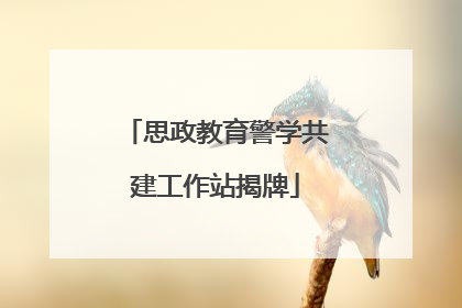 思政教育警学共建工作站揭牌
