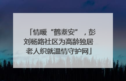 情暖“鹤耋安”，彭刘杨路社区为高龄独居老人织就温情守护网
