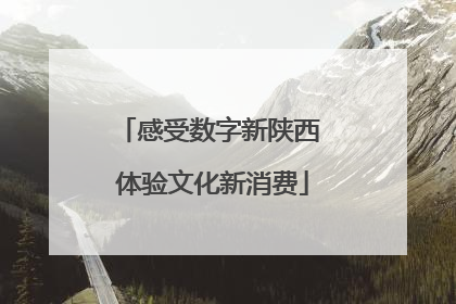 感受数字新陕西 体验文化新消费