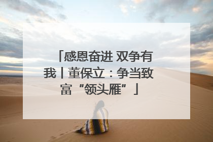 感恩奋进 双争有我丨董保立：争当致富“领头雁”