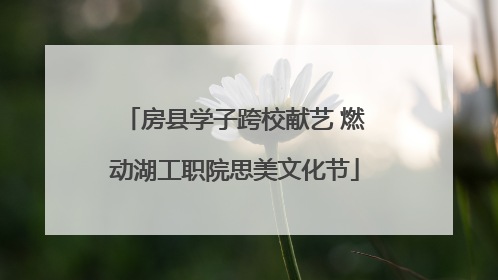 房县学子跨校献艺 燃动湖工职院思美文化节