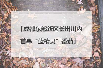成都东部新区长出川内首串“蓝精灵”番茄
