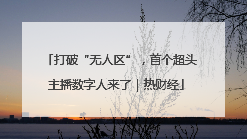 打破“无人区”，首个超头主播数字人来了｜热财经