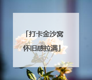 打卡金沙窝 怀旧感拉满