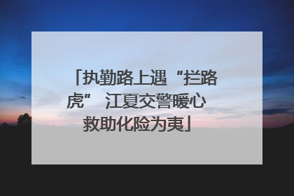 执勤路上遇“拦路虎” 江夏交警暖心救助化险为夷