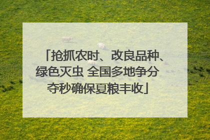 抢抓农时、改良品种、绿色灭虫 全国多地争分夺秒确保夏粮丰收