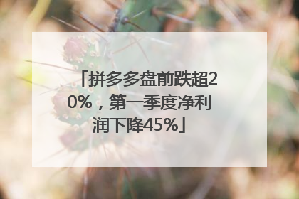 拼多多盘前跌超20%，第一季度净利润下降45%