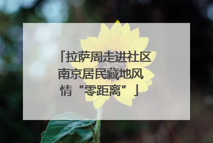 拉萨周走进社区 南京居民藏地风情“零距离”