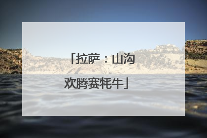 拉萨：山沟欢腾赛牦牛