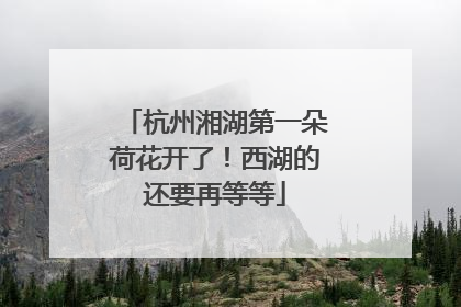 杭州湘湖第一朵荷花开了！西湖的还要再等等