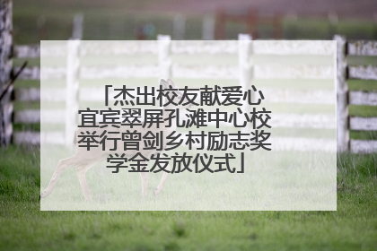 杰出校友献爱心 宜宾翠屏孔滩中心校举行曾剑乡村励志奖学金发放仪式