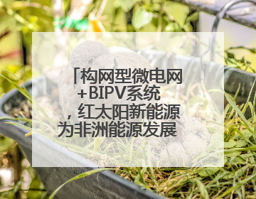 构网型微电网+BIPV系统，红太阳新能源为非洲能源发展带来新动能