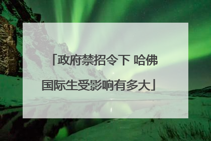 政府禁招令下 哈佛国际生受影响有多大